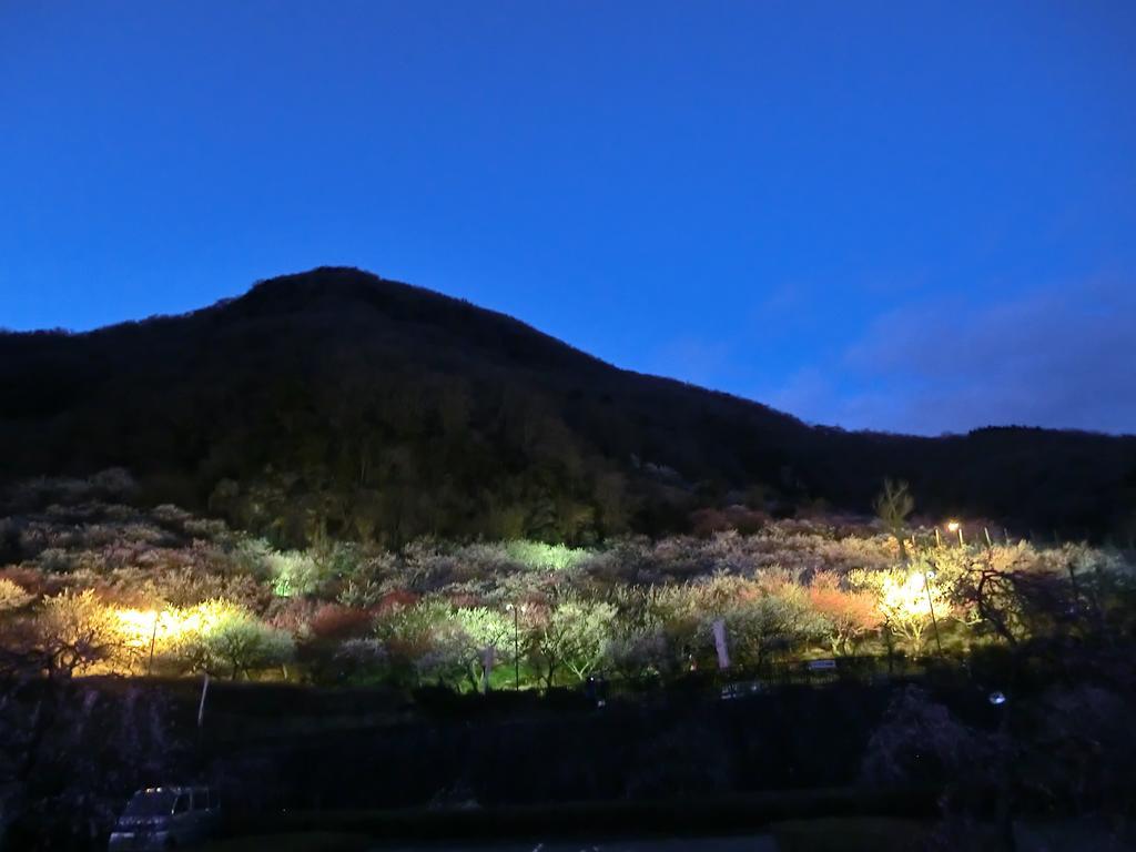 Yugawara Onsen Kawasegien Isuzu Hotel Atami  Exterior photo